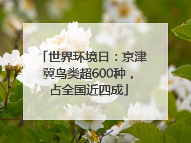 世界环境日：京津冀鸟类超600种，占全国近四成