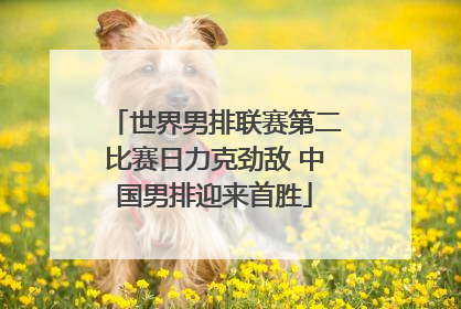 世界男排联赛第二比赛日力克劲敌 中国男排迎来首胜