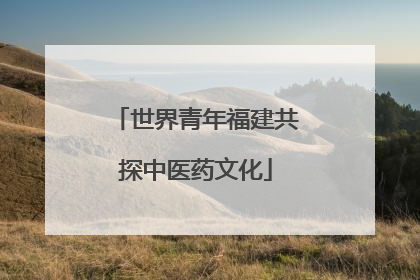 世界青年福建共探中医药文化