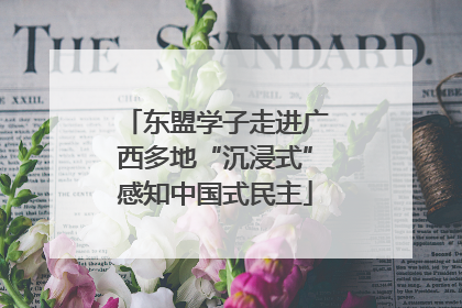 东盟学子走进广西多地“沉浸式”感知中国式民主