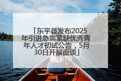 东平县发布2025年引进急需紧缺优秀青年人才初试公告，5月30日开展面谈