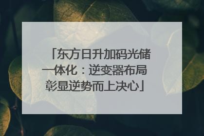 东方日升加码光储一体化：逆变器布局彰显逆势而上决心