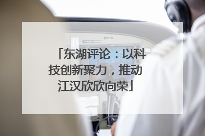 东湖评论：以科技创新聚力，推动江汉欣欣向荣