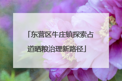 东营区牛庄镇探索占道晒粮治理新路径