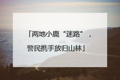 两地小鹿“迷路”，警民携手放归山林