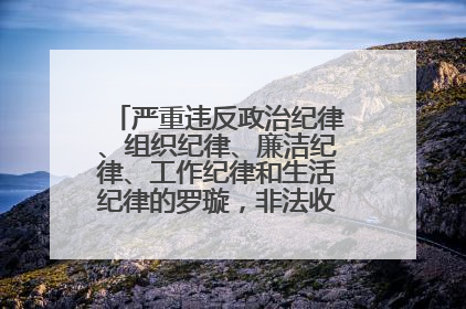 严重违反政治纪律、组织纪律、廉洁纪律、工作纪律和生活纪律的罗璇，非法收受他人巨额财物