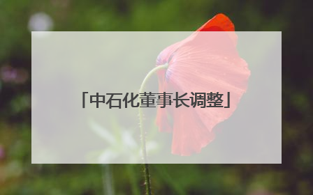 中石化董事长调整