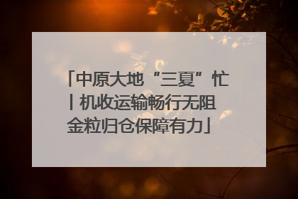 中原大地“三夏”忙丨机收运输畅行无阻 金粒归仓保障有力