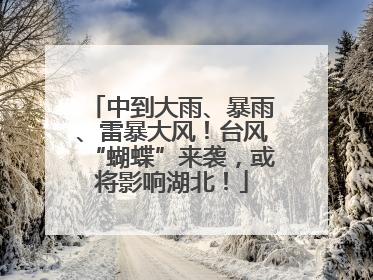 中到大雨、暴雨、雷暴大风！台风“蝴蝶”来袭，或将影响湖北！