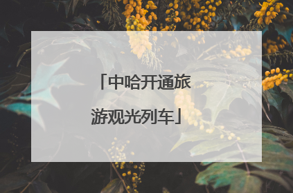 中哈开通旅游观光列车