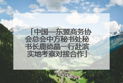 中国—东盟商务协会总会中方秘书处秘书长鹿德晶一行赴滨实地考察对接合作