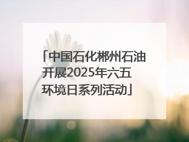 中国石化郴州石油开展2025年六五环境日系列活动
