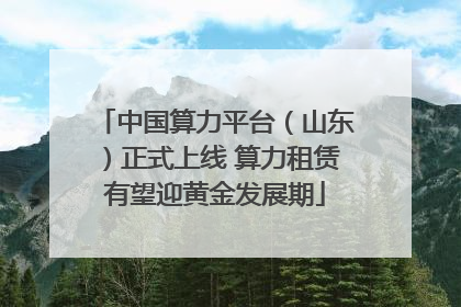 中国算力平台（山东）正式上线 算力租赁有望迎黄金发展期