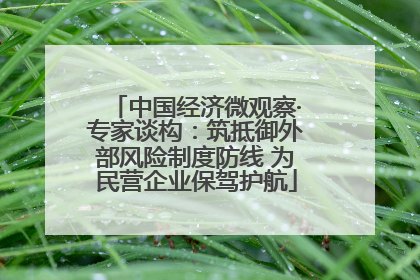 中国经济微观察·专家谈构：筑抵御外部风险制度防线 为民营企业保驾护航