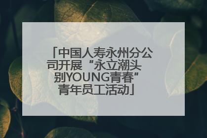 中国人寿永州分公司开展“永立潮头 别YOUNG青春”青年员工活动