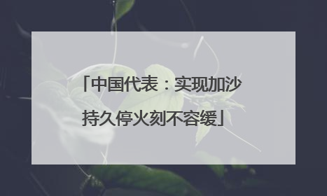 中国代表:实现加沙持久停火刻不容缓