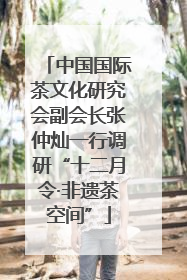 中国国际茶文化研究会副会长张仲灿一行调研“十二月令·非遗茶空间”