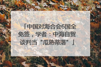 中国对海合会6国全免签，学者：中海自贸谈判当“瓜熟蒂落”