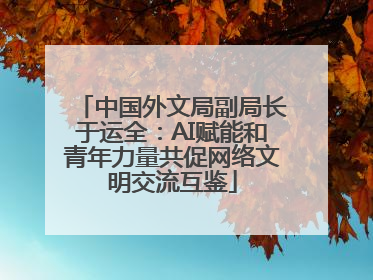 中国外文局副局长于运全：AI赋能和青年力量共促网络文明交流互鉴
