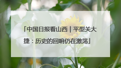 中国日报看山西｜平型关大捷：历史的回响仍在激荡