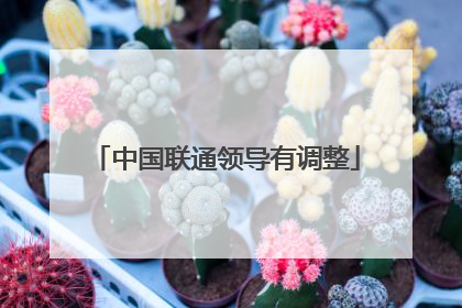 中国联通领导有调整