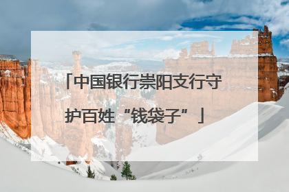 中国银行崇阳支行守护百姓“钱袋子”