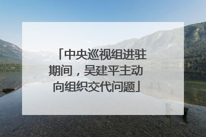中央巡视组进驻期间，吴建平主动向组织交代问题