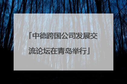 中德跨国公司发展交流论坛在青岛举行