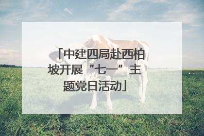 中建四局赴西柏坡开展“七一”主题党日活动