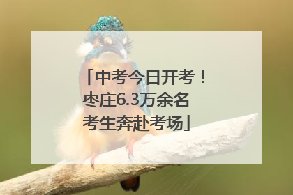 中考今日开考！枣庄6.3万余名考生奔赴考场