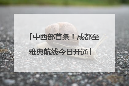 中西部首条！成都至雅典航线今日开通