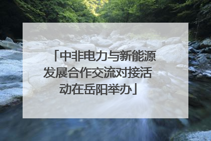 中非电力与新能源发展合作交流对接活动在岳阳举办