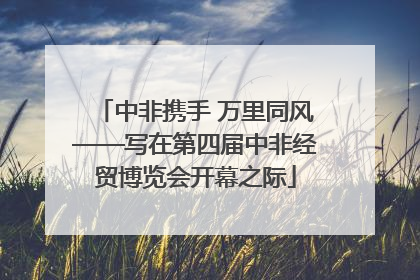 中非携手 万里同风——写在第四届中非经贸博览会开幕之际