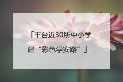 丰台近30所中小学建“彩色学安路”