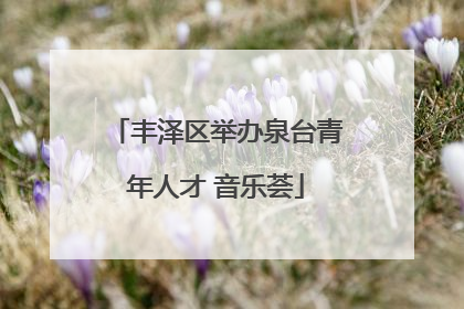 丰泽区举办泉台青年人才 音乐荟
