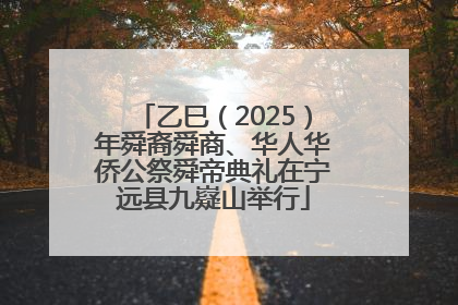 乙巳（2025）年舜裔舜商、华人华侨公祭舜帝典礼在宁远县九嶷山举行