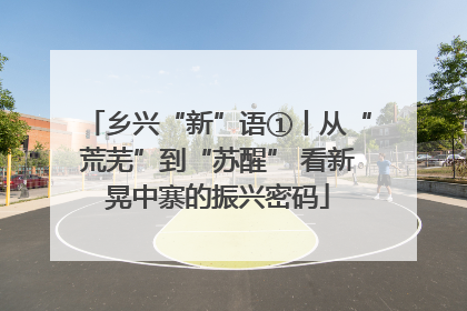 乡兴“新”语①丨从“荒芜”到“苏醒” 看新晃中寨的振兴密码