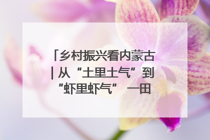 乡村振兴看内蒙古｜从“土里土气”到“虾里虾气” 一田双收模式火出圈