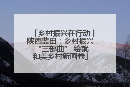 乡村振兴在行动丨陕西蓝田：乡村振兴 “三部曲” 绘就和美乡村新画卷