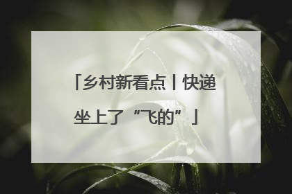 乡村新看点丨快递坐上了“飞的”