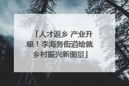 人才返乡 产业升级！李海务街道绘就乡村振兴新图景