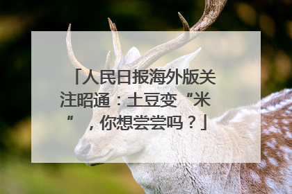 人民日报海外版关注昭通：土豆变“米”，你想尝尝吗？