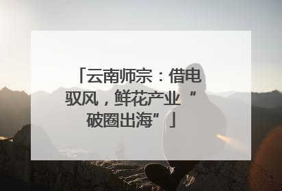 云南师宗：借电驭风，鲜花产业“破圈出海”