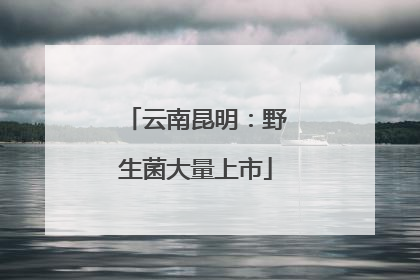 云南昆明：野生菌大量上市