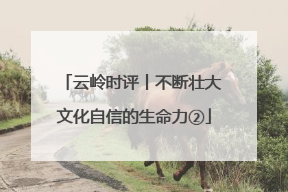 云岭时评丨不断壮大文化自信的生命力②