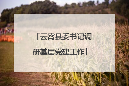 云霄县委书记调研基层党建工作