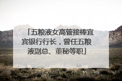 五粮液女高管接棒宜宾银行行长，曾任五粮液副总、董秘等职