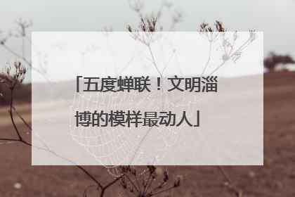 五度蝉联！文明淄博的模样最动人