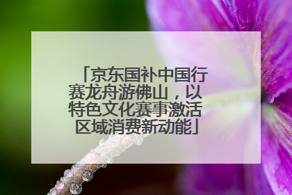 京东国补中国行赛龙舟游佛山，以特色文化赛事激活区域消费新动能