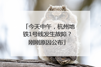 今天中午，杭州地铁1号线发生故障？刚刚原因公布